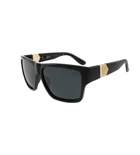 Jase New York Carter Sunglasses in Black